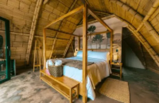 Casa Selvaggio Hotels in 