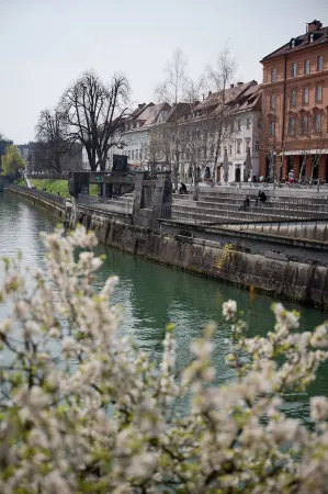 Codelli Deluxe Unique Fresko Apartments Отели рядом с достопримечательностью «Трёхмостовье»