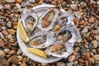 Whitstable's Beachcombers, Sleeps 10, Dog Friendly Hotel di Herne Bay
