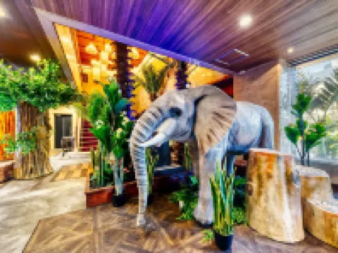 ホテルロータス岡山店 - 大人限定 岡山のホテル