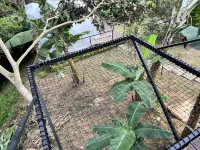 Urqu Glamping Hotels in El Chocho