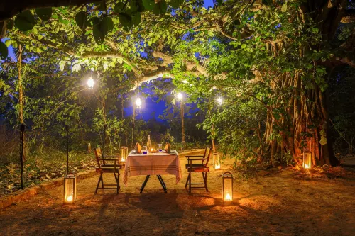 The Untamed Bandhavgarh by Tutc Hotels in Sarmaniya