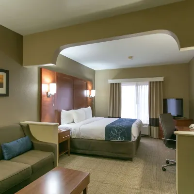 Comfort Suites Austin NW Lakeline Hotel dekat Akuarium Austin
