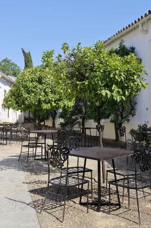 Hotel Bodega Tio Pepe Отели рядом с достопримечательностью «Фортеця в Хересі-де-ла-Фронтера»