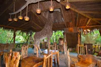 Great Huts Hotels in Long Bay