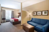 Comfort Suites Fredericksburg North