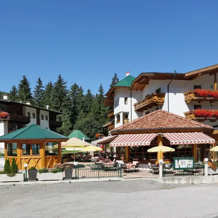 Aktivhotel Waldhof Отели в г. Гемайнде