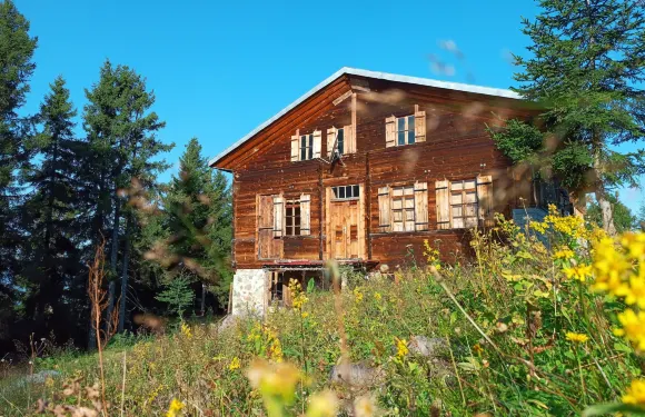 迪米爾席奧格魯波庫達愛維酒店