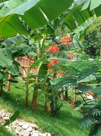 Richardson Serenity Villa