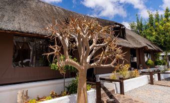 Kleinplasie Guesthouse