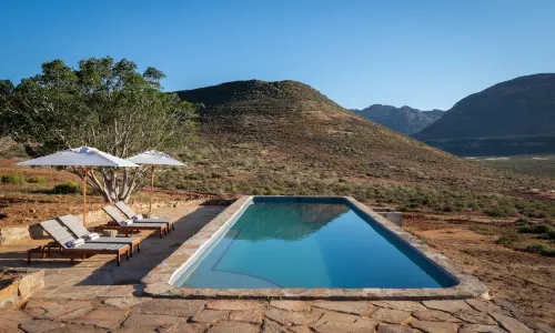 Simbavati Cederberg Ridge