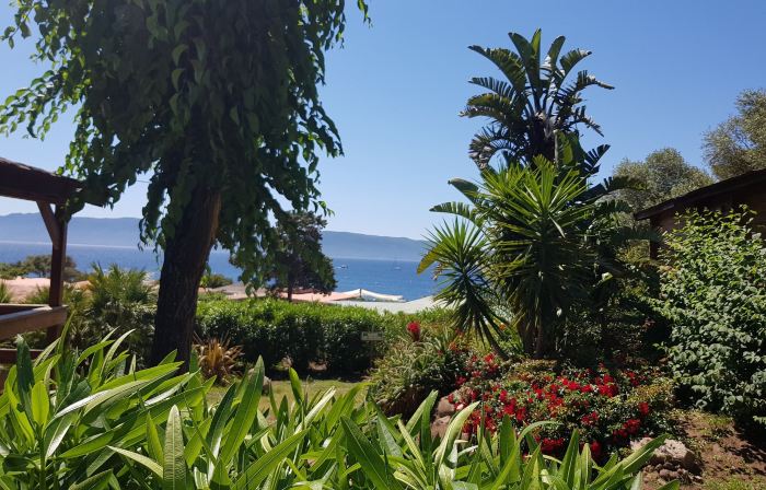 Mare E Monti