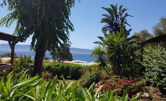 Mare E Monti