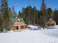 Ski in/Out Spruce Glen Townhomes on Great Eastern Trail Hotels near Bear Mountain Quad