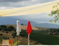 렐라이스 코치 그리포니 - 패노라믹 와인 리조트