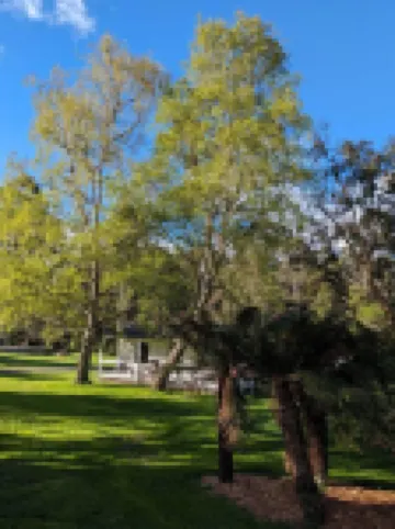 Weldborough Hotel Hotel a 