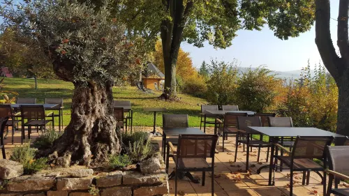 Vitalhotel König am Park Hotels in Bad Mergentheim