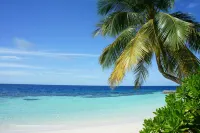 Sri Lankan Villa Hotels in Ahangama