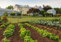 L'Auberge Provencale Inn & Restaurant Hotels in Boyce