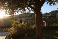 紅酒 - 賓館 拉莫拉住宿飯店