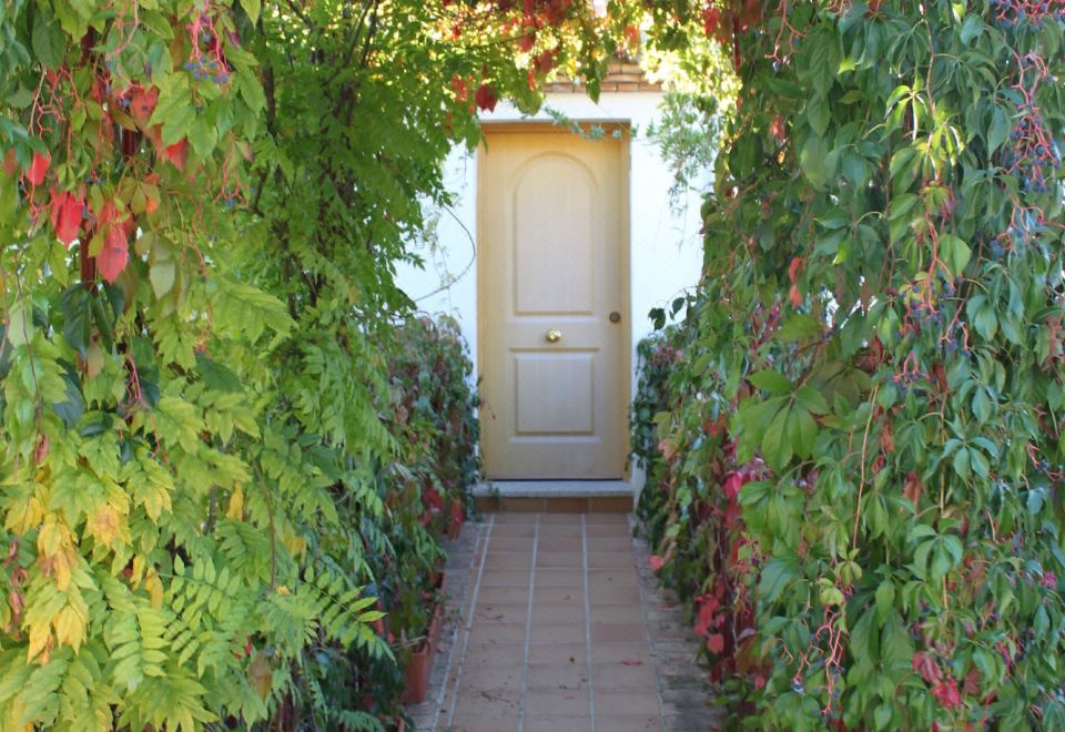 호텔 루랄 푸에르토 마히나 야외 수영장 이미지