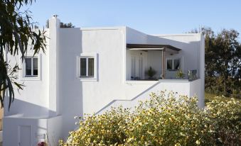 Le Blanc Nest