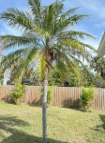 Charming 3-bedroom house with WiFi, AC in enjoyable Venice