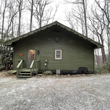 Mountain Resort Cabin with Outdoor Gas Firepit, and Mountain Stream!