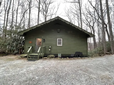 Mountain Resort Cabin with Outdoor Gas Firepit, and Mountain Stream!