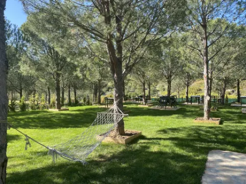 Elyada Otel ve Bağ Evi 8 Yaş Üstü