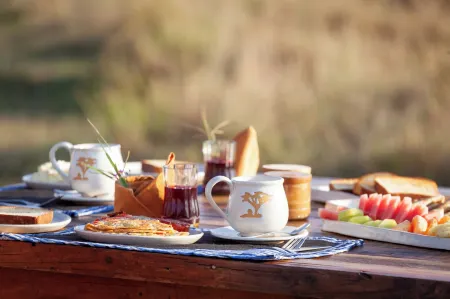 Mawe Luxury Tented Camp Отели в г. Серенгети