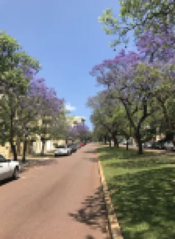 ริเวอร์วิว ออน เมาท์ สตรีท