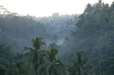 ホテル周辺 ヴァイスロイバリの写真