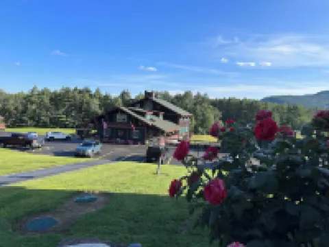 Swiss Chalets Village Inn Hotels in Bartlett