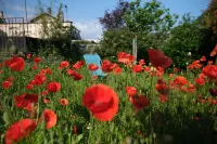 Chez Ric et Fer Hotels in Coucy-le-Chateau-Auffrique