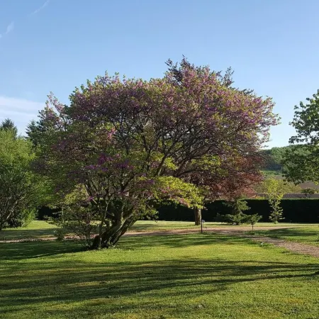 B&B des Histoires d'Anges - Côté Jardin - Accueil Vélo