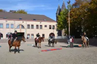 Haras des Chartreux Hotels in Tournai