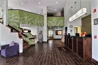 สลีปอินน์ แกลลัป