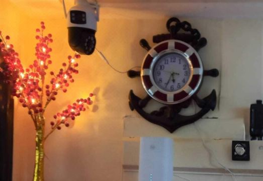 알하라키 캡슐 이미지