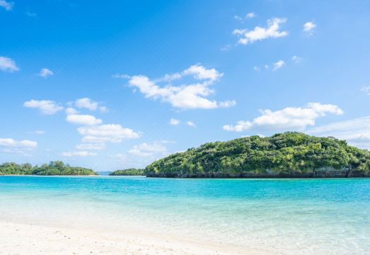 숙소 야외 수영장 시설