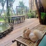 The Frog Cabana
