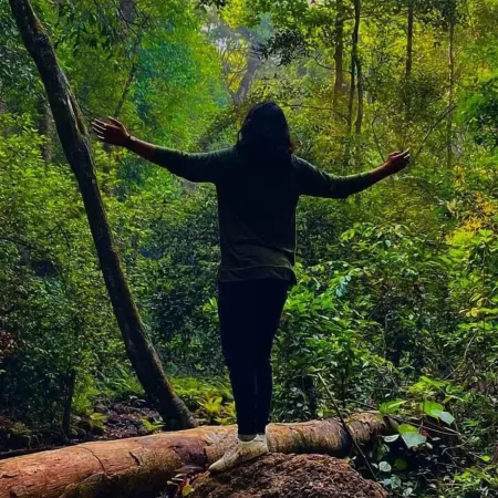 Magenta Resort Отели рядом с достопримечательностью «Rocks»