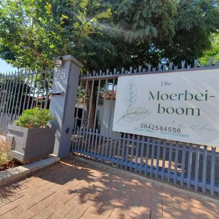 Die Moerbeiboom