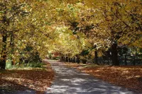The Bower at Wildside Sanctuary Hotels in Kurrajong Heights
