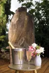 La Villa du Menhir Chambre d'hôtes Hotel a Argeliers