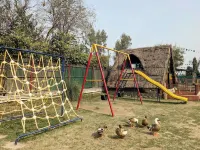 Tuk Tuk Gilhari Noida