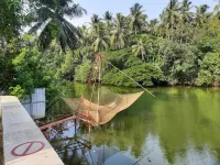 The Riverside Guesthouse