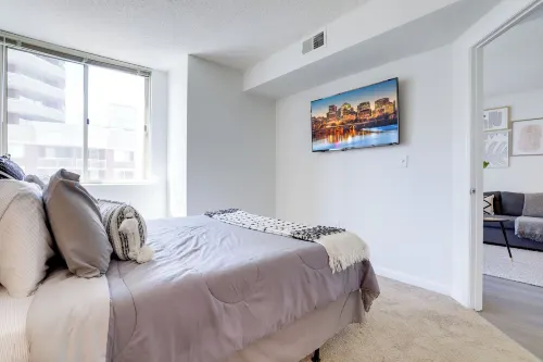 Bright Apartment Walk to Ballston Metro