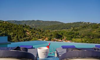 Petra Nera Skiathos, Philian Hotels & Resorts