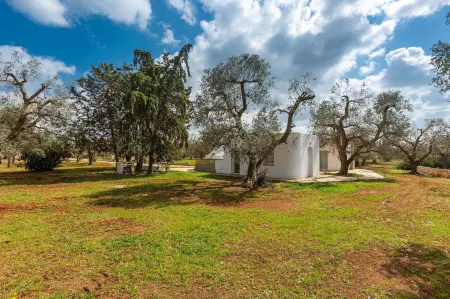 2770 Uliveto Valeria - Trullo Melograno by Perle di Puglia